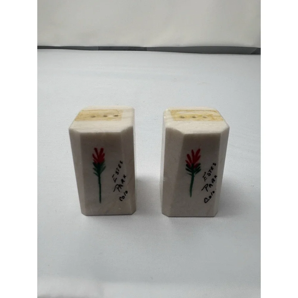 Vintage Colorado Salt Pepper Shakers Hand Painted Floral Stone No Stoppers Tape